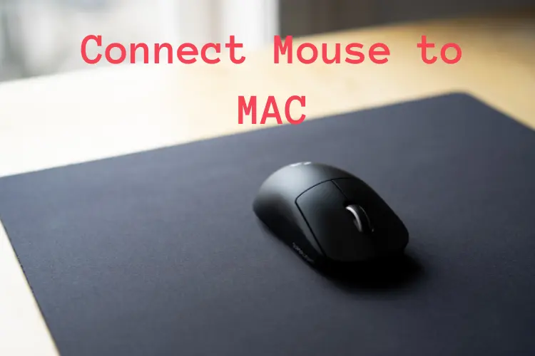 How to CONNECT a MOUSE TO MAC