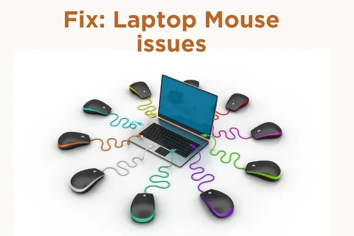 Mouse Not Working on Laptop