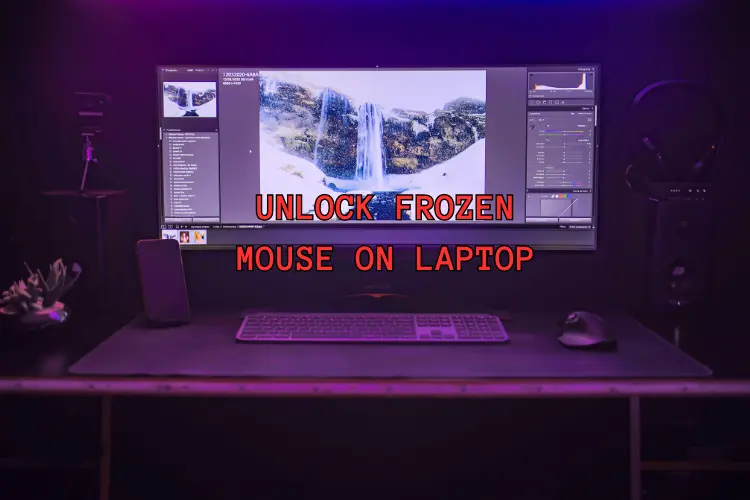 Steps to Unlock Frozen Mouse on Laptop